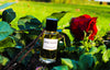 Rose Vanilla - Perfume 50ml - Private collection