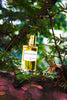 Wood & Coco - Parfum 50ml - inspiré de Coco Mademoiselle de Chanel